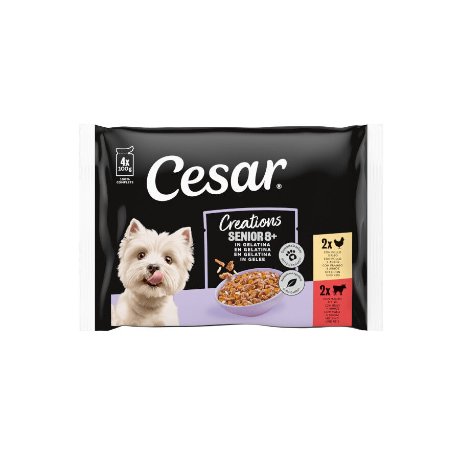 4 saquetas x 100 g Cesar Mistura de Carnes Geleia em Saquinho para C&atilde;es S&eacute;nior - Multipack, , large Imagem n&uacute;mero 1