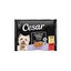 4 saquetas x 100 g Cesar Mistura de Carnes Geleia em Saquinho para C&atilde;es S&eacute;nior - Multipack, , large Indicador imagem n&uacute;mero 1