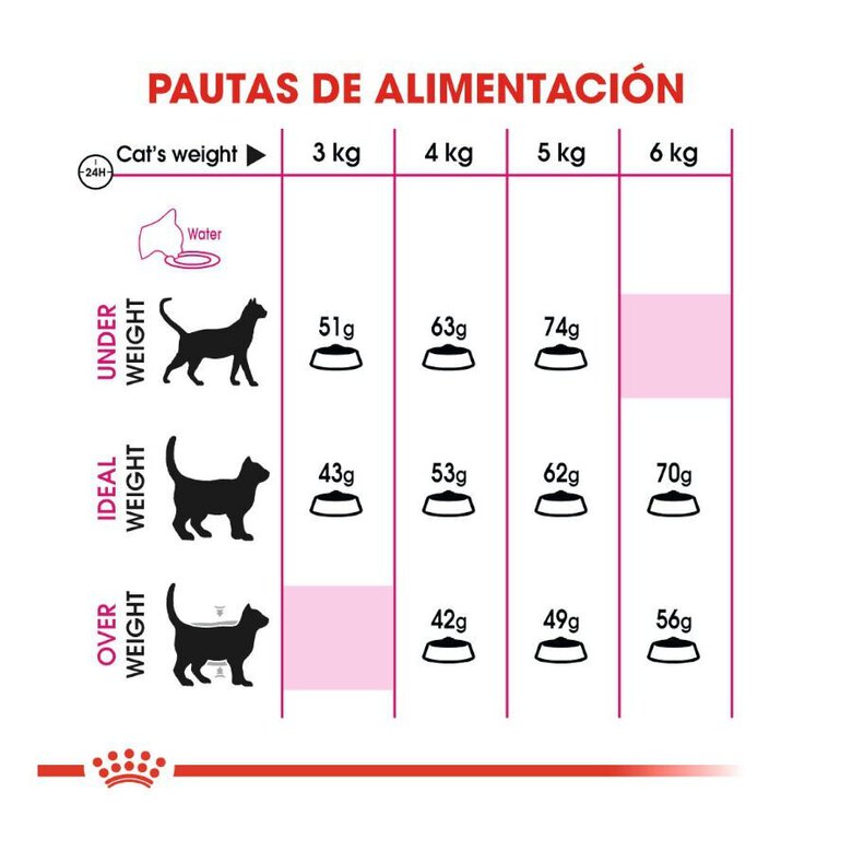 10 kg Royal Canin Adult Exigent Savour ração para gatos,  Imagem número 6 10 kg Royal Canin Adult Exigent Savour ração para gatos, , large Imagem número 6