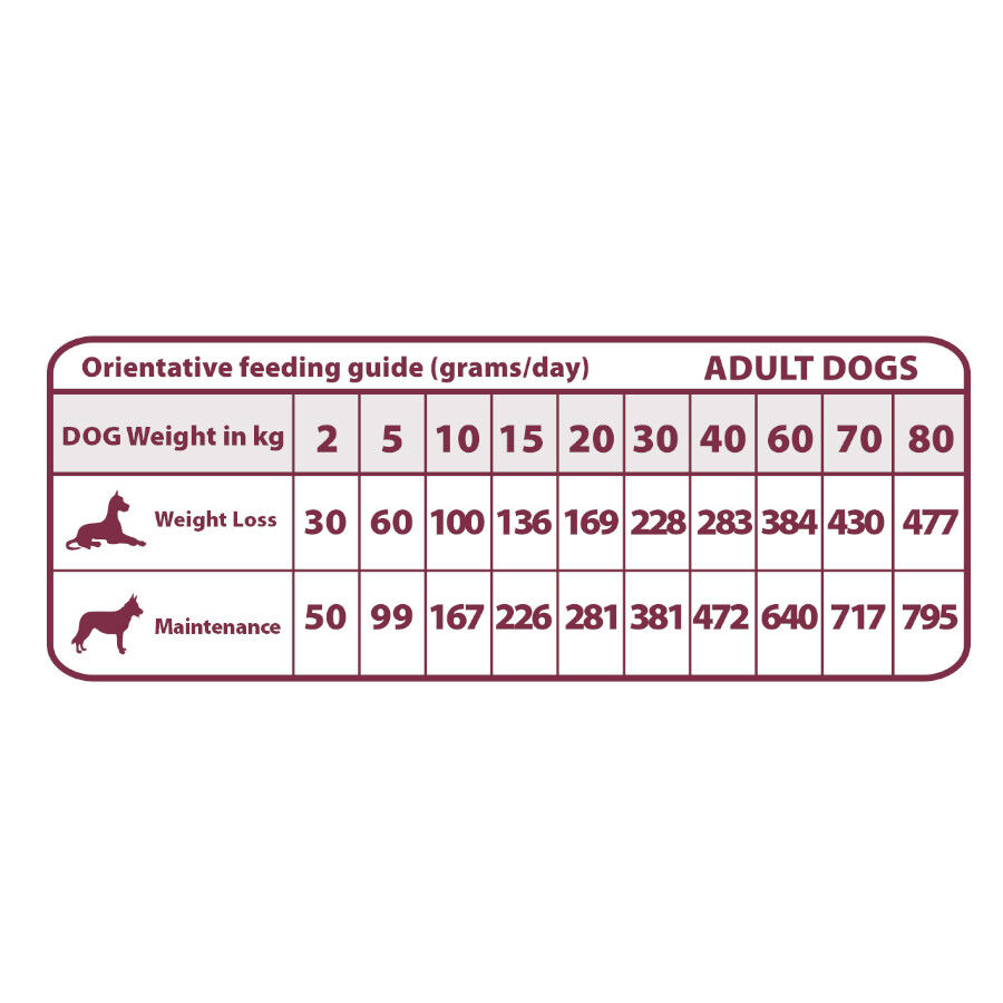 Natural Greatness Obesity & Diabetic Ra&ccedil;&atilde;o Hipoalerg&eacute;nica para c&atilde;es, , large Imagem n&uacute;mero 2