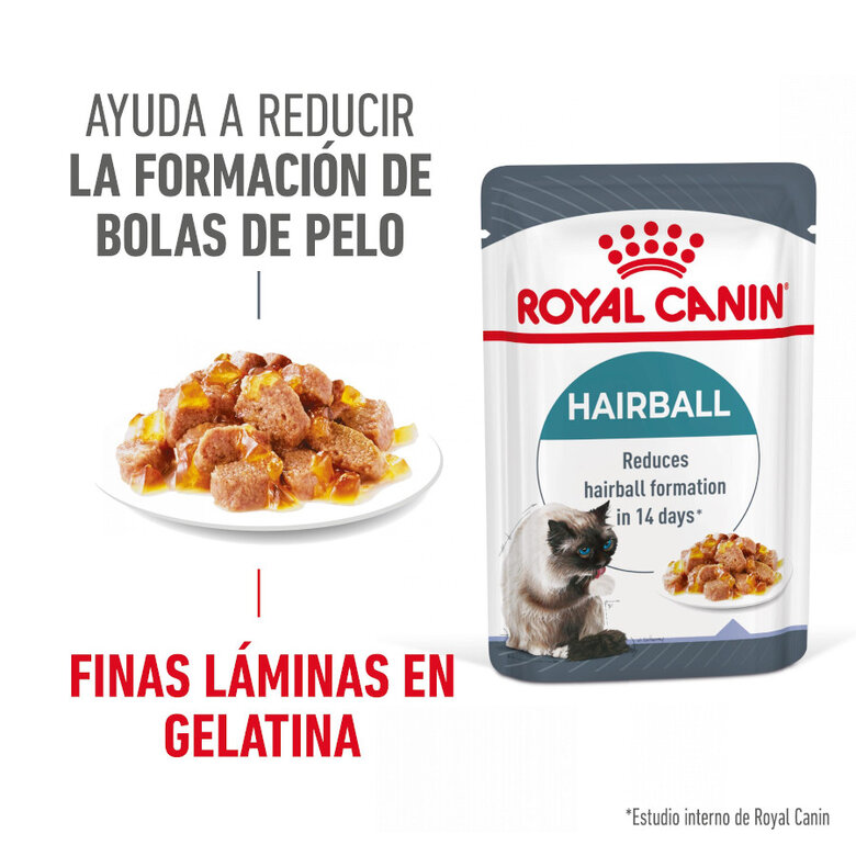 85 g Royal Canin Hairball Care Saquetas em Gelatina para gatos,  Imagem número 7 85 g Royal Canin Hairball Care Saquetas em Gelatina para gatos, , large Imagem número 7