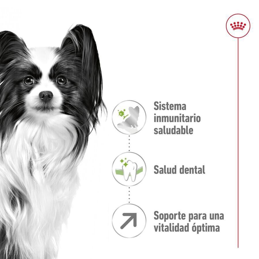 Royal Canin X-Small 8+ Mature ra&ccedil;&atilde;o para c&atilde;es, , large Imagem n&uacute;mero 5