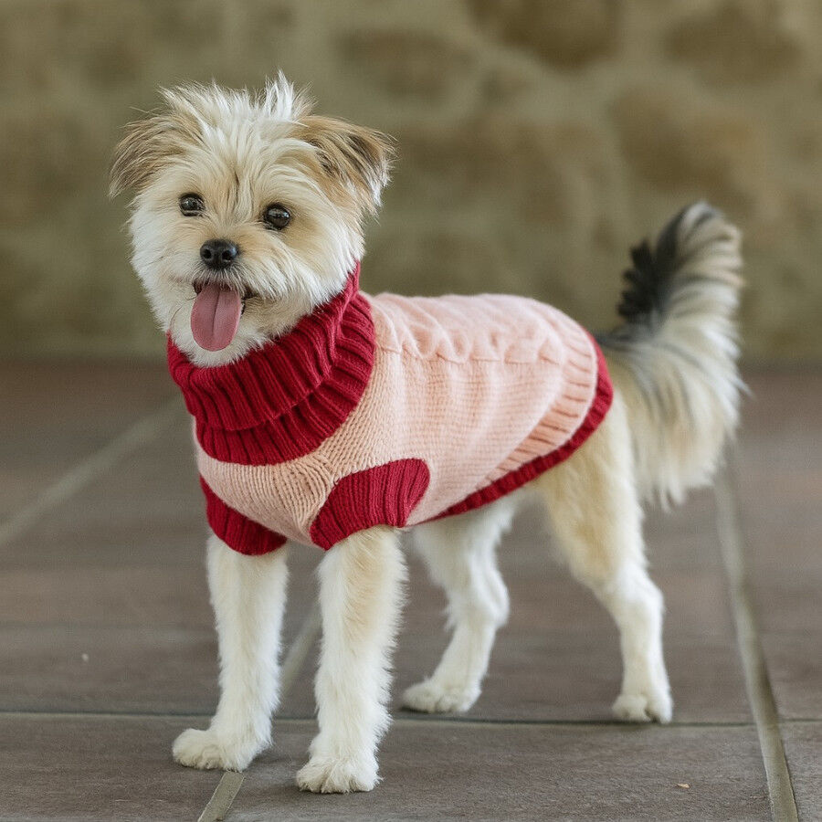 Freedog Elsinor Camisola para c&atilde;es, , large Imagem n&uacute;mero 1