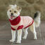 Freedog Elsinor Camisola para cães, , large Indicador imagem número 1