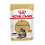 48 saquetas x 85 g Royal Canin Maine Coon alimento húmido para gatos Pack poupança!, , large Indicador imagem número 1