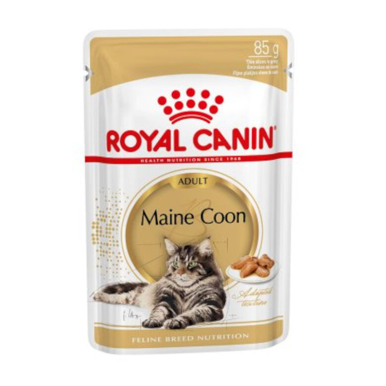 Royal Canin Maine Coon alimento húmido para gatos, , large image number null