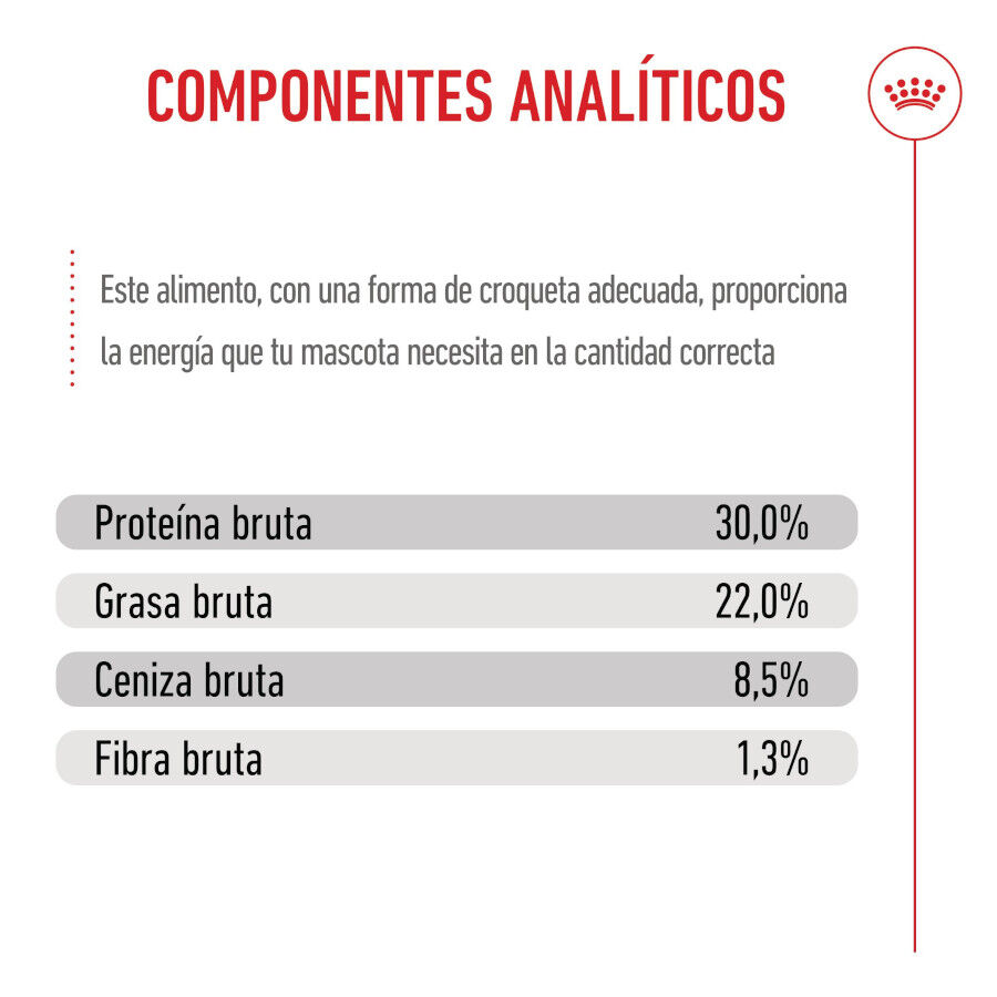 Royal Canin Mini Starter MothereBaby ra&ccedil;&atilde;o para c&atilde;es, , large Imagem n&uacute;mero 9