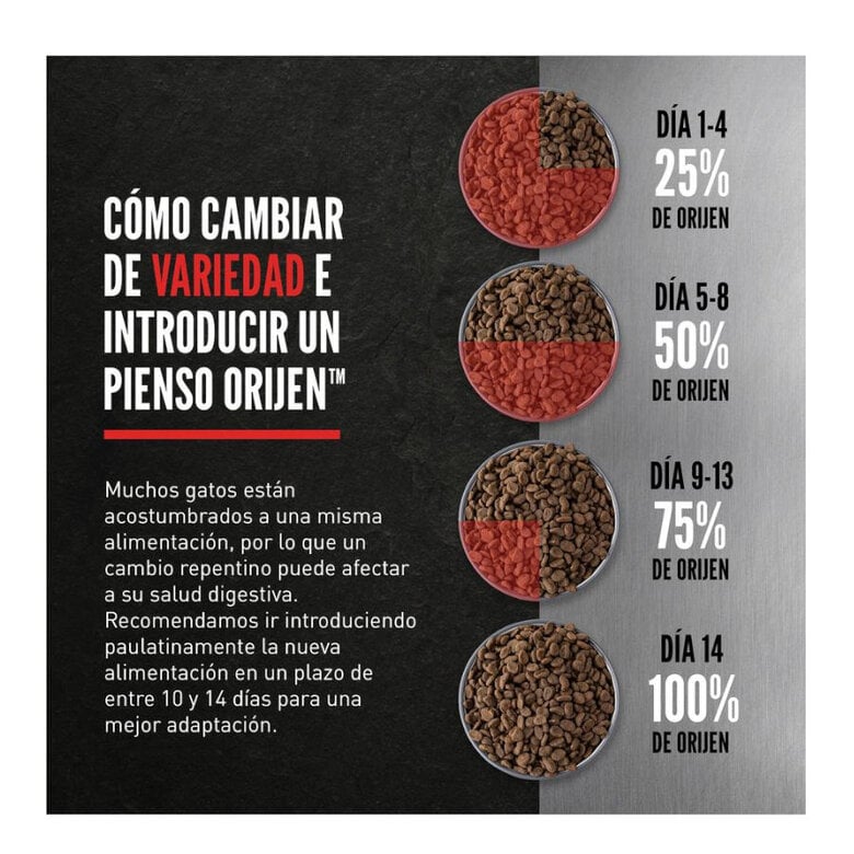 4.5 kg Orijen Guardián 8 Ração para gatos,  Imagem número 6 4.5 kg Orijen Guardián 8 Ração para gatos, , large Imagem número 6