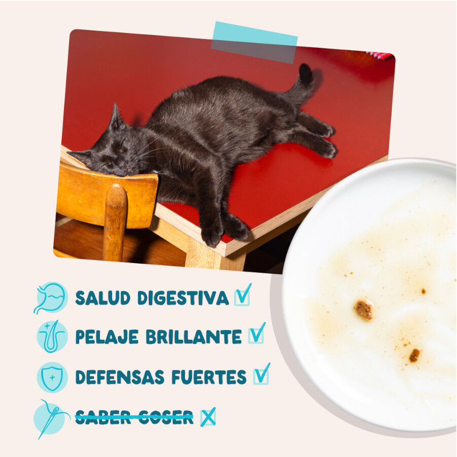 85 g Edgard & Cooper Comida h&uacute;mida de atum e frango em molho em saquetas para gatos, , large Imagem n&uacute;mero 4