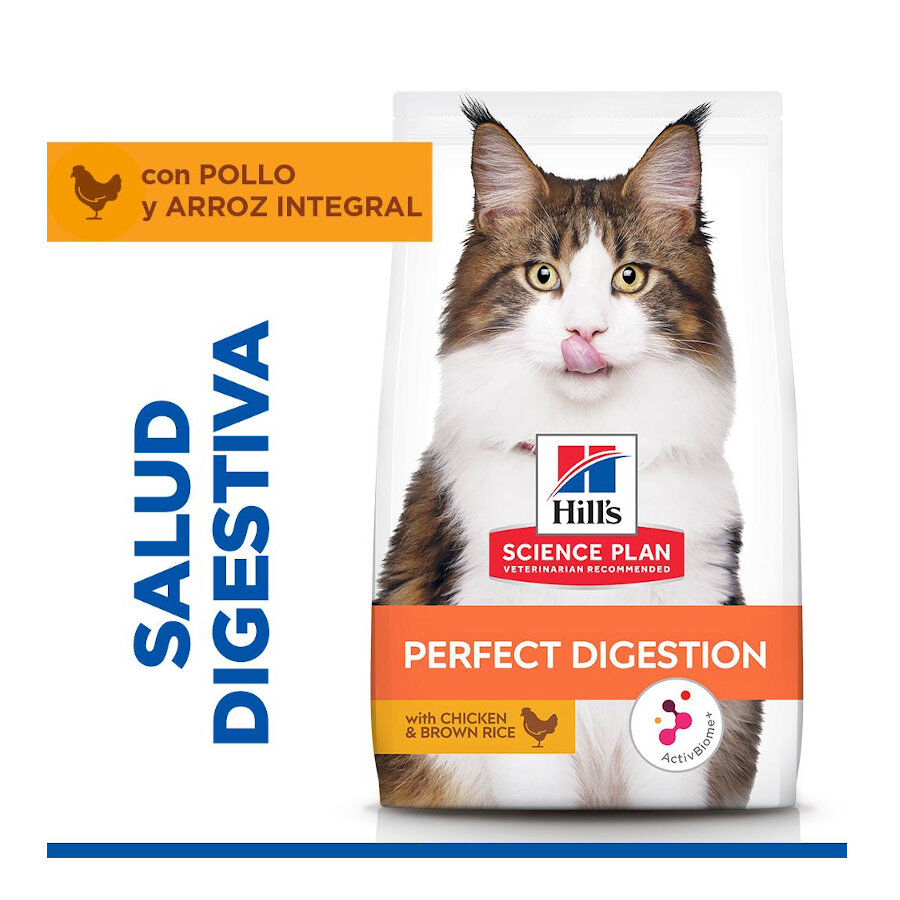 3 kg Hill's Adult Science Plan Perfect Digestion Frango ra&ccedil;&atilde;o para gatos, , large Imagem n&uacute;mero 2
