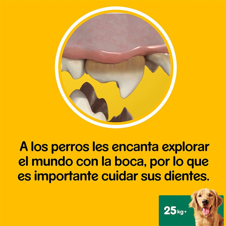 112 sticks Pedigree Dentastix Snacks Dent&aacute;rios para c&atilde;es de porte grande, , large Imagem n&uacute;mero 6