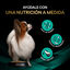 4 kg Pro Plan Veterinary Gastrointestinal Small & Mini Ra&ccedil;&atilde;o para c&atilde;es, , large Indicador imagem n&uacute;mero 4