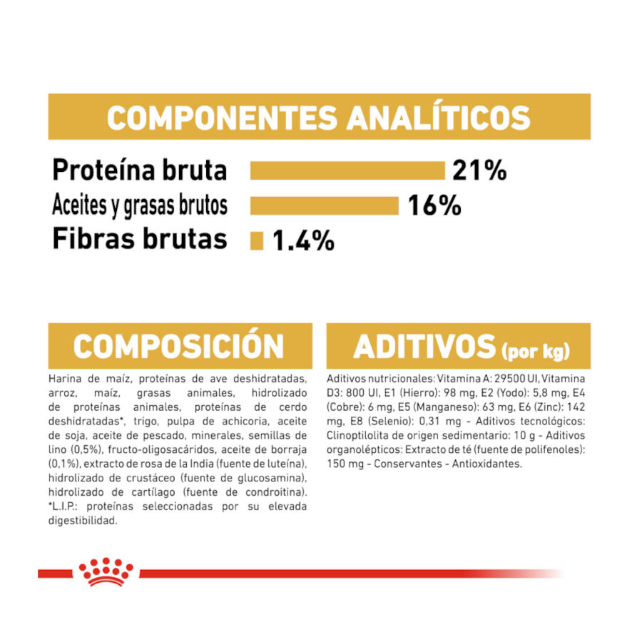 Royal Canin Adult White Terrier West Highland ra&ccedil;&atilde;o para c&atilde;es, , large Imagem n&uacute;mero 6