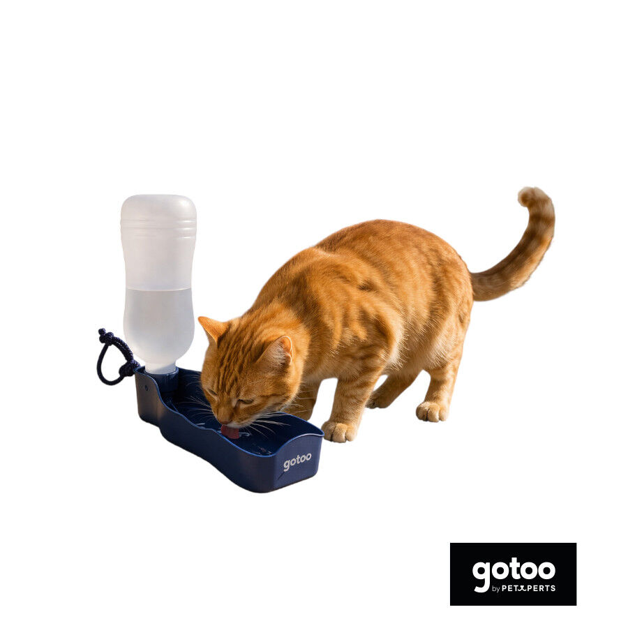 Gotoo Garrafa Bebedouro Port&aacute;til em Pl&aacute;stico Azul para c&atilde;es e gatos, , large Imagem n&uacute;mero 7