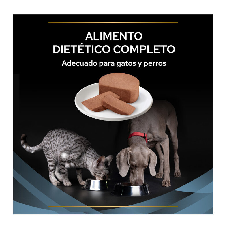 195 g Pro Plan Veterinary Diets Convalescence latas para cães e gatos,  Imagem número 3 195 g Pro Plan Veterinary Diets Convalescence latas para cães e gatos, , large Imagem número 3
