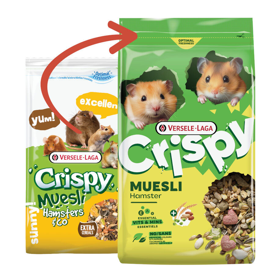 750 g Versele-Laga Crispy Muesli Ra&ccedil;&atilde;o para hamsters, , large Imagem n&uacute;mero 2