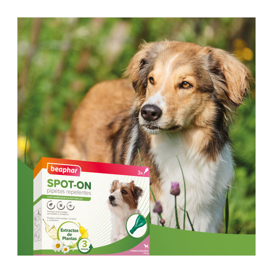 Beaphar Pipetas Repelentes para c&atilde;es, , large Imagem n&uacute;mero 8