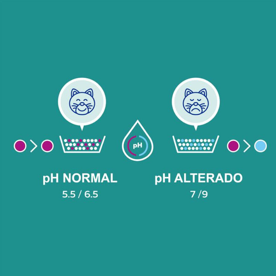 Lindocat Advance Control Areia Aglomerante para gatos, , large Imagem n&uacute;mero 4