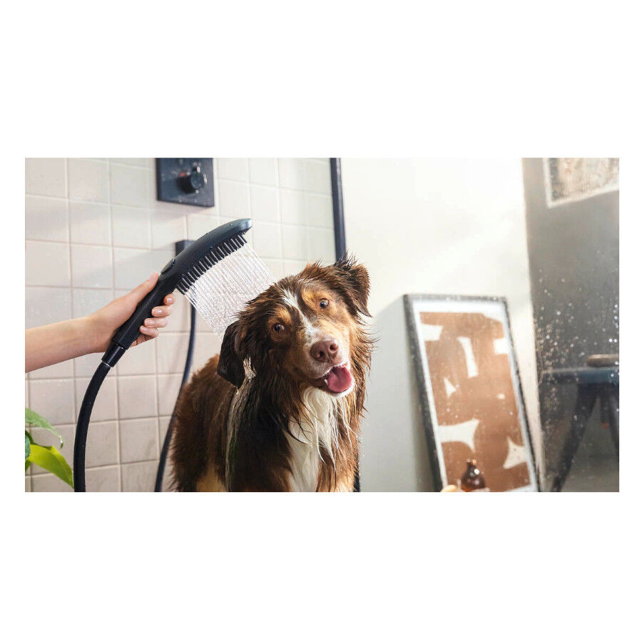 Hansgrohe Chuveiro Preto para c&atilde;es, , large Imagem n&uacute;mero 2
