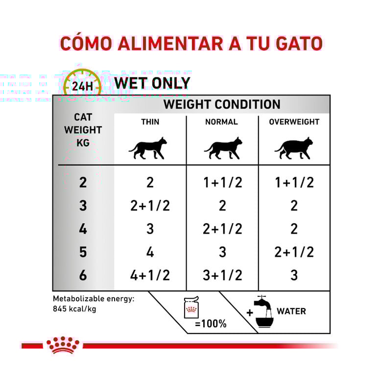 12 saquetas x 85 g Royal Canin Adult Veterinary Urinary paté sobre para gatos,  Imagem número 5 12 saquetas x 85 g Royal Canin Adult Veterinary Urinary paté sobre para gatos, , large Imagem número 5