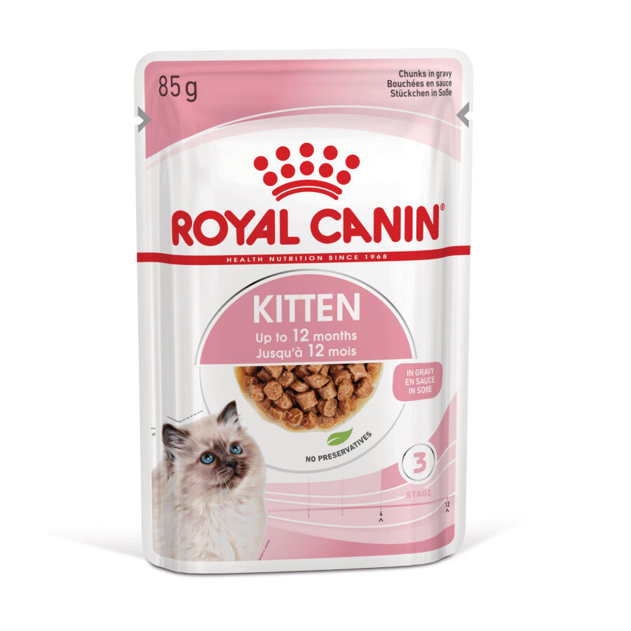 48 saquetas x 85 g Royal Canin Kitten Alimento H&uacute;mido para gatinhos Pack poupan&ccedil;a!, , large Imagem n&uacute;mero 1
