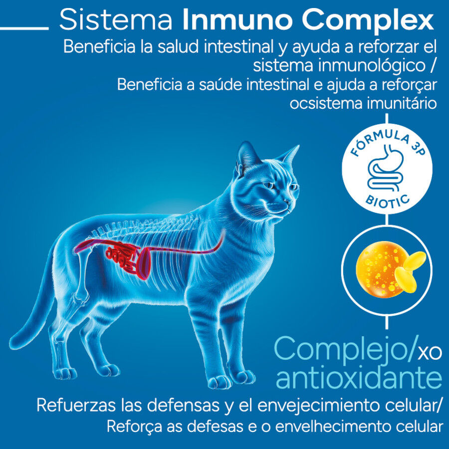 Criadores Cient&iacute;fico Mature +7 Ra&ccedil;&atilde;o de frango para gatos, , large Imagem n&uacute;mero 3