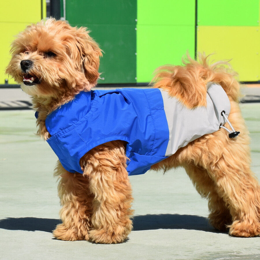 Nayeco X-TRM Capa de Chuva Azul e Cinzenta para c&atilde;es, , large Imagem n&uacute;mero 1