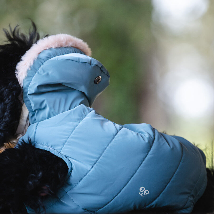 Freedog Iceguard Capa de Chuva Azul-claro para c&atilde;es, , large Imagem n&uacute;mero 5