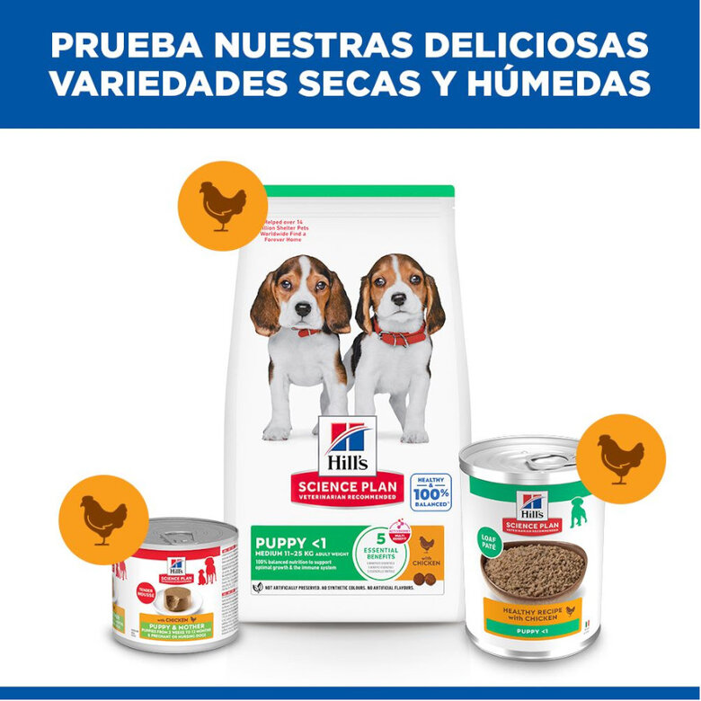 370 g Hill's Puppy Science Plan Frango lata,  Imagem número 6 370 g Hill's Puppy Science Plan Frango lata, , large Imagem número 6