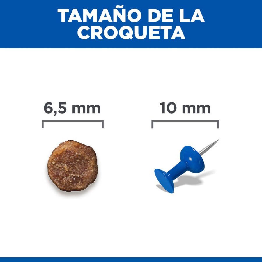 Hill's Puppy Smal e Mini Science Plan Frango ra&ccedil;&atilde;o, , large Imagem n&uacute;mero 9