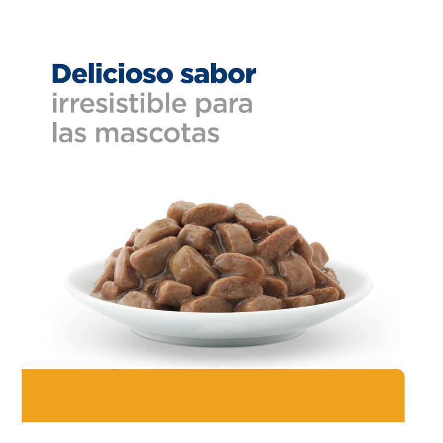 12 saquetas x 85 g Hill's Prescription Diet Urinary Care Frango saqueta para gatos, , large Imagem n&uacute;mero 8