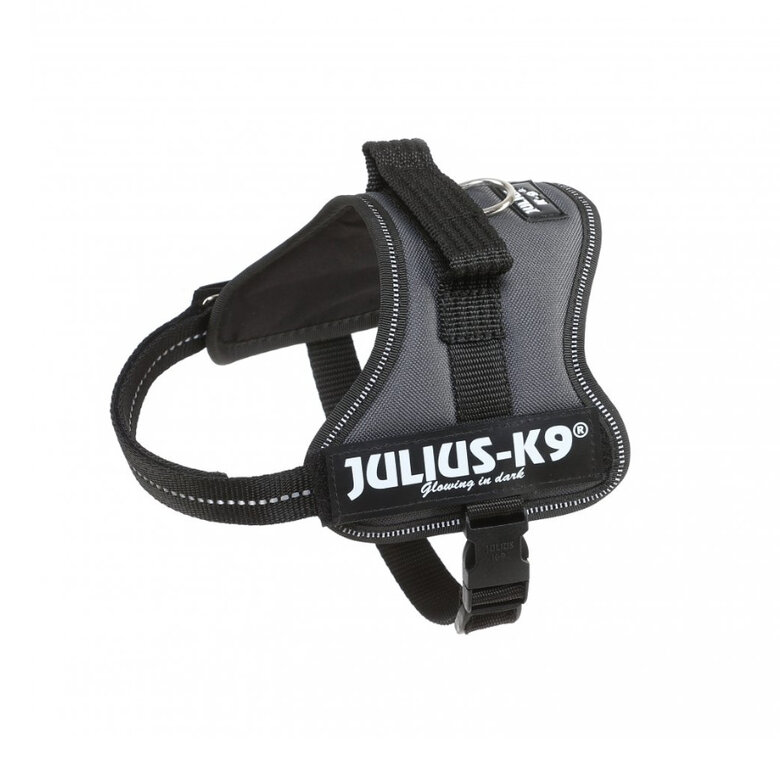 Julius K9 Peitoral Cinza para cães,  Imagem número 1 Julius K9 Peitoral Cinza para cães, , large Imagem número 1