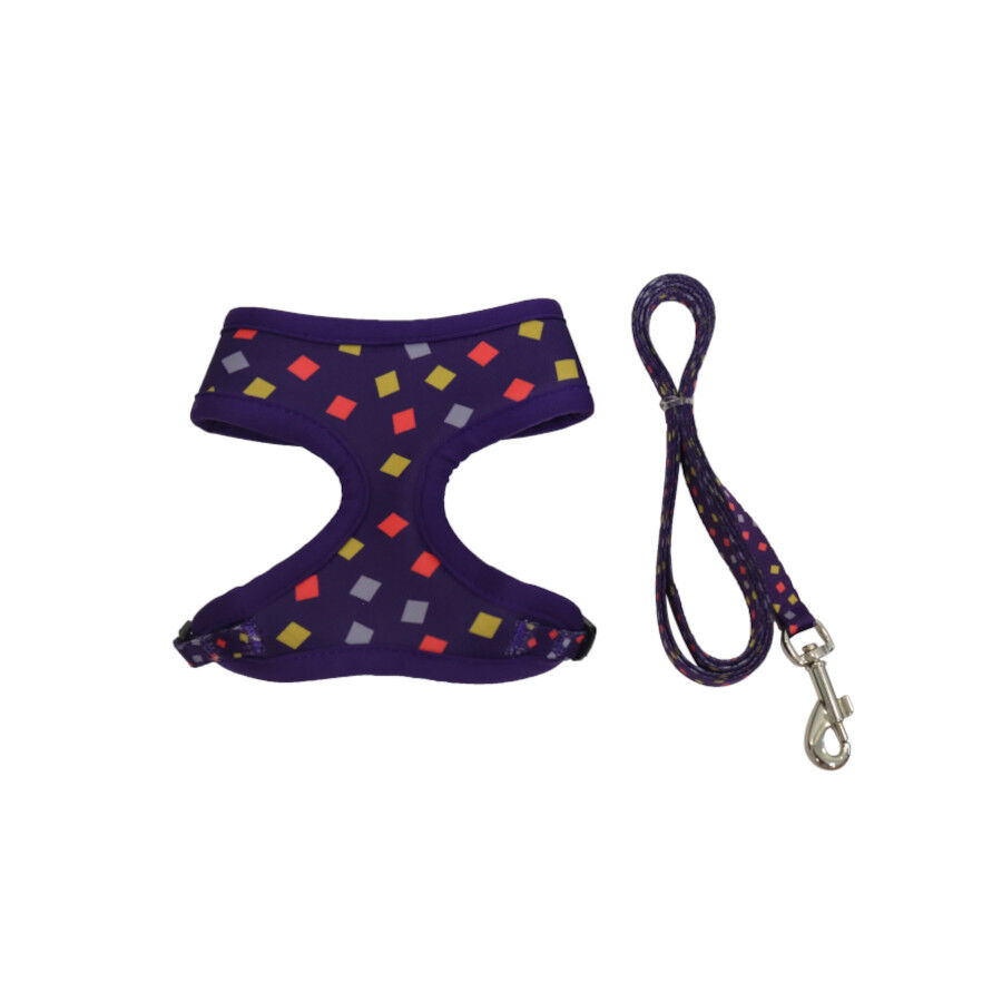 Gotoo Trela e peitoral estampado geom&eacute;trico para gatos, , large Imagem n&uacute;mero 1