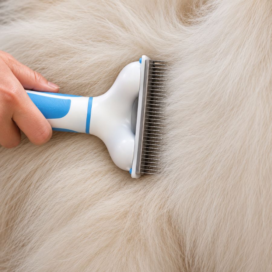 Bloob Escova de remo&ccedil;&atilde;o de subpelo para c&atilde;es, , large Imagem n&uacute;mero 4
