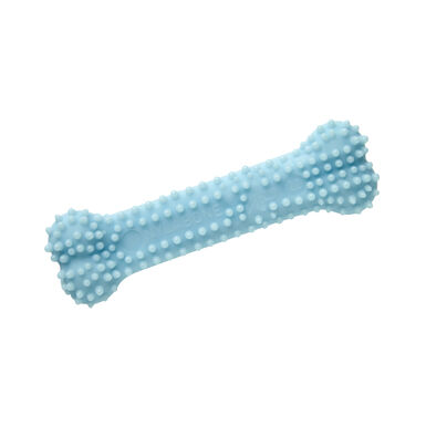 Nylabone Osso Mordedor Dentário com Sabor a Frango para cachorros