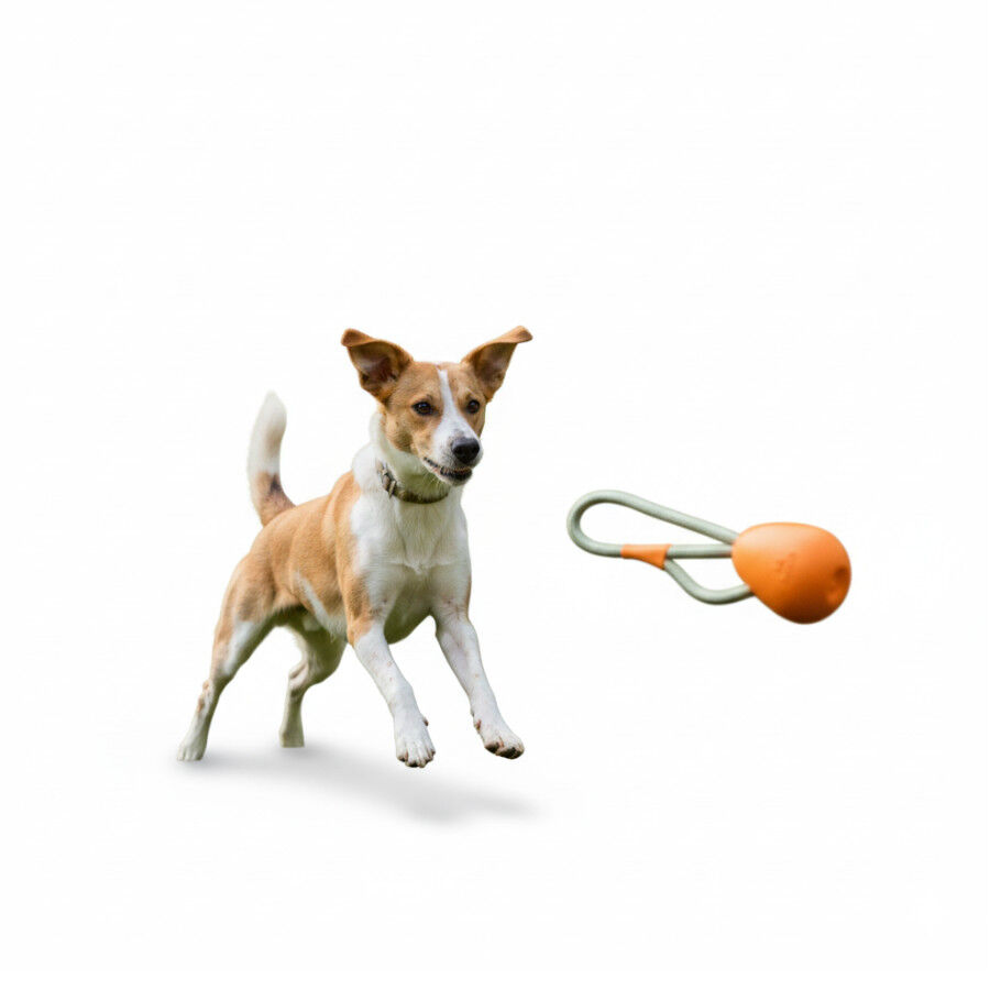 BECO Mordedor de corda para c&atilde;es, , large Imagem n&uacute;mero 6