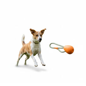 BECO Mordedor de corda para c&atilde;es