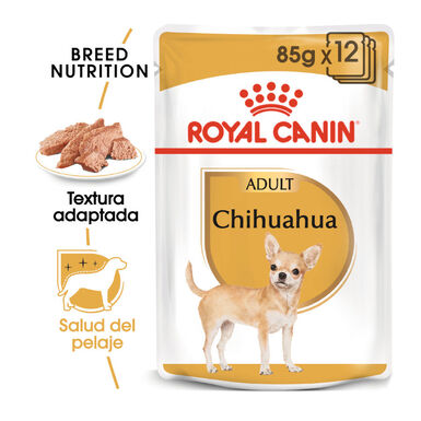 Royal Canin Adult Chihuahua patê em saquetas para cães