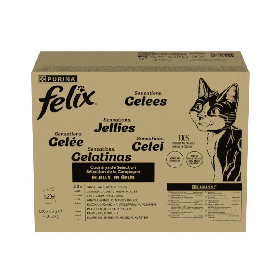 120 saquetas x 85 g Felix Sensations Mix Comida h&uacute;mida de de carne em gelatina para gatos, , large Imagem n&uacute;mero 1