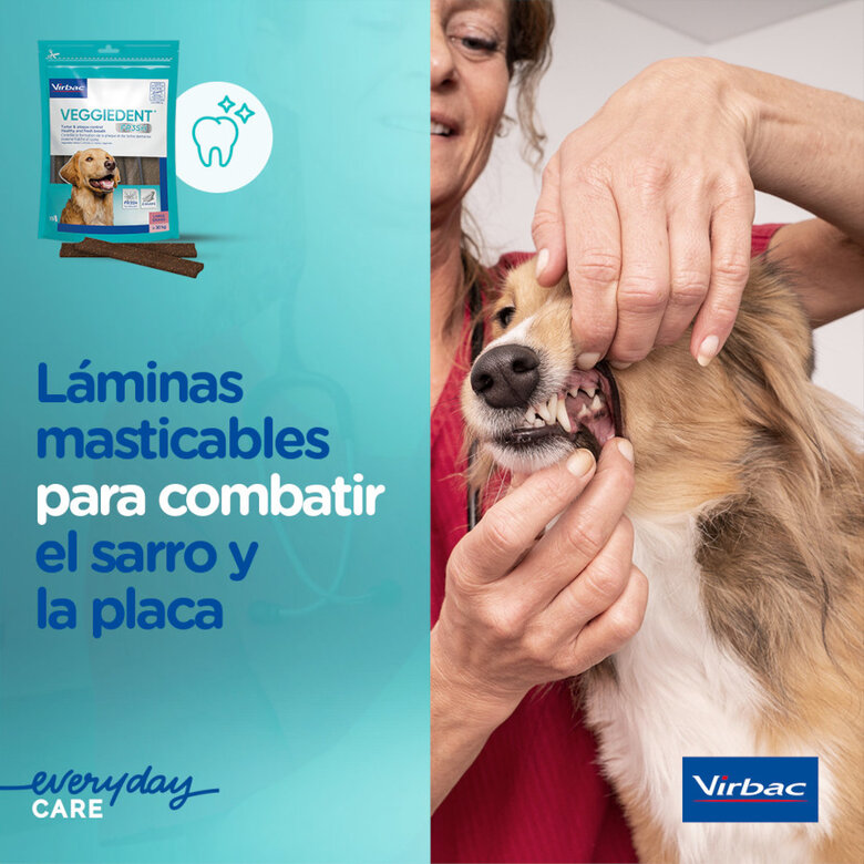 15 sticks Virbac Snacks Dentários VeggieDent Fresh para cães mini,  Imagem número 5 15 sticks Virbac Snacks Dentários VeggieDent Fresh para cães mini, , large Imagem número 5