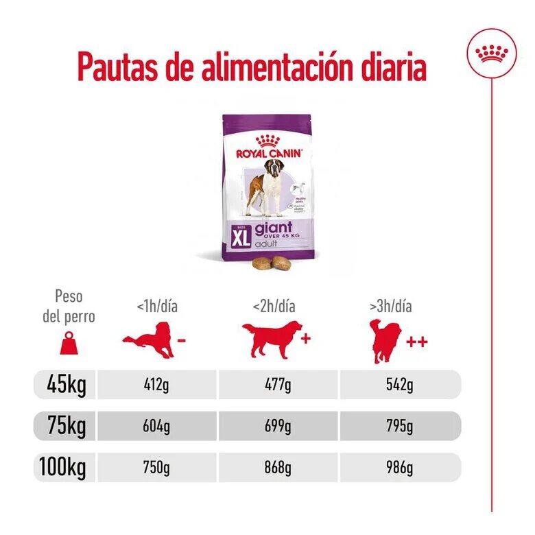 15 kg Royal Canin Adult Giant ração para cães,  Imagem número 10 15 kg Royal Canin Adult Giant ração para cães, , large Imagem número 10