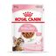 85 g Royal Canin Kitten Sterilised alimento húmido em molho saquetas para gatos, , large Indicador imagem número 1