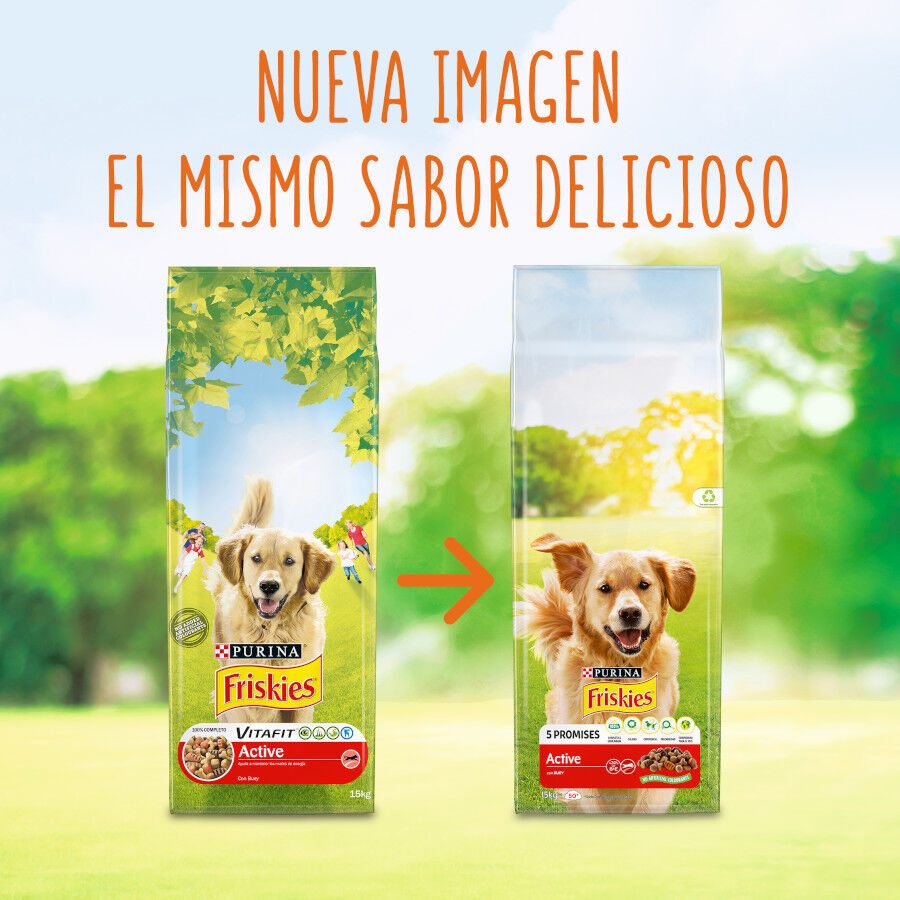 15 kg Friskies Active Ra&ccedil;&atilde;o para c&atilde;es, , large Imagem n&uacute;mero 2