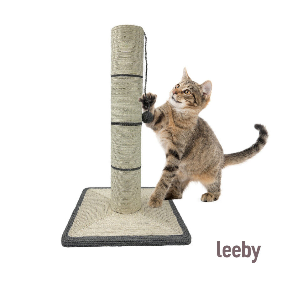 Leeby Isidoro arranhador de sisal para gatos, , large Imagem n&uacute;mero 2