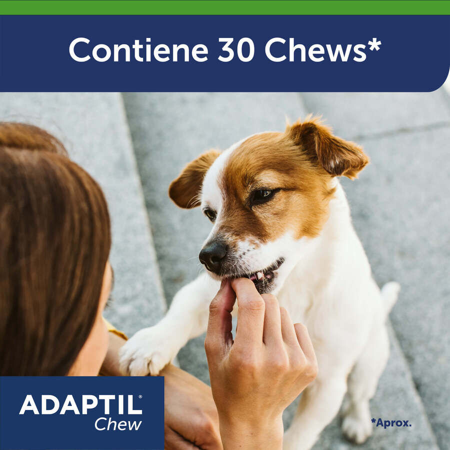 30 comprimidos Adaptil Chew Comprimidos Relaxantes para o stress ocasional dos c&atilde;es, , large Imagem n&uacute;mero 2