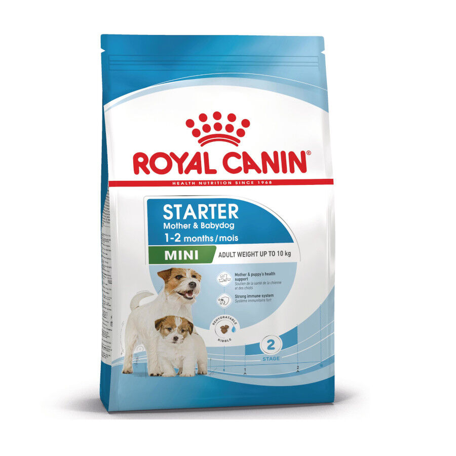 Royal Canin Mini Starter MothereBaby ra&ccedil;&atilde;o para c&atilde;es, , large Imagem n&uacute;mero 1