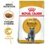 10 kg Royal Canin Adult British Shorthair ração para gatos, , large Indicador imagem número 2