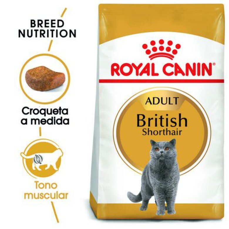 10 kg Royal Canin Adult British Shorthair ração para gatos,  Imagem número 2 10 kg Royal Canin Adult British Shorthair ração para gatos, , large Imagem número 2