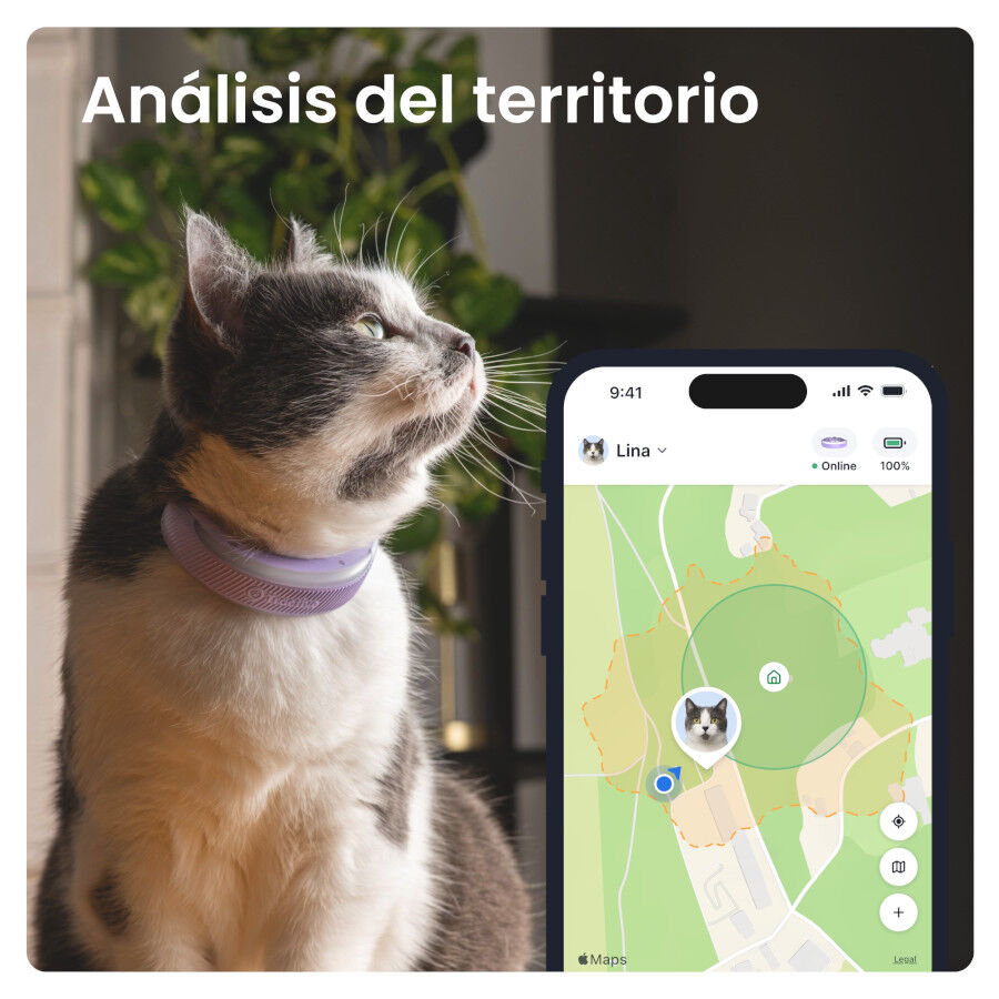 Tractive CAT 6 Mini Lavanda GPS para gatos, , large Imagem n&uacute;mero 4