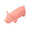 Tootoy! Chew Grunting Pig Mordedor para cães, , large Indicador imagem número 1